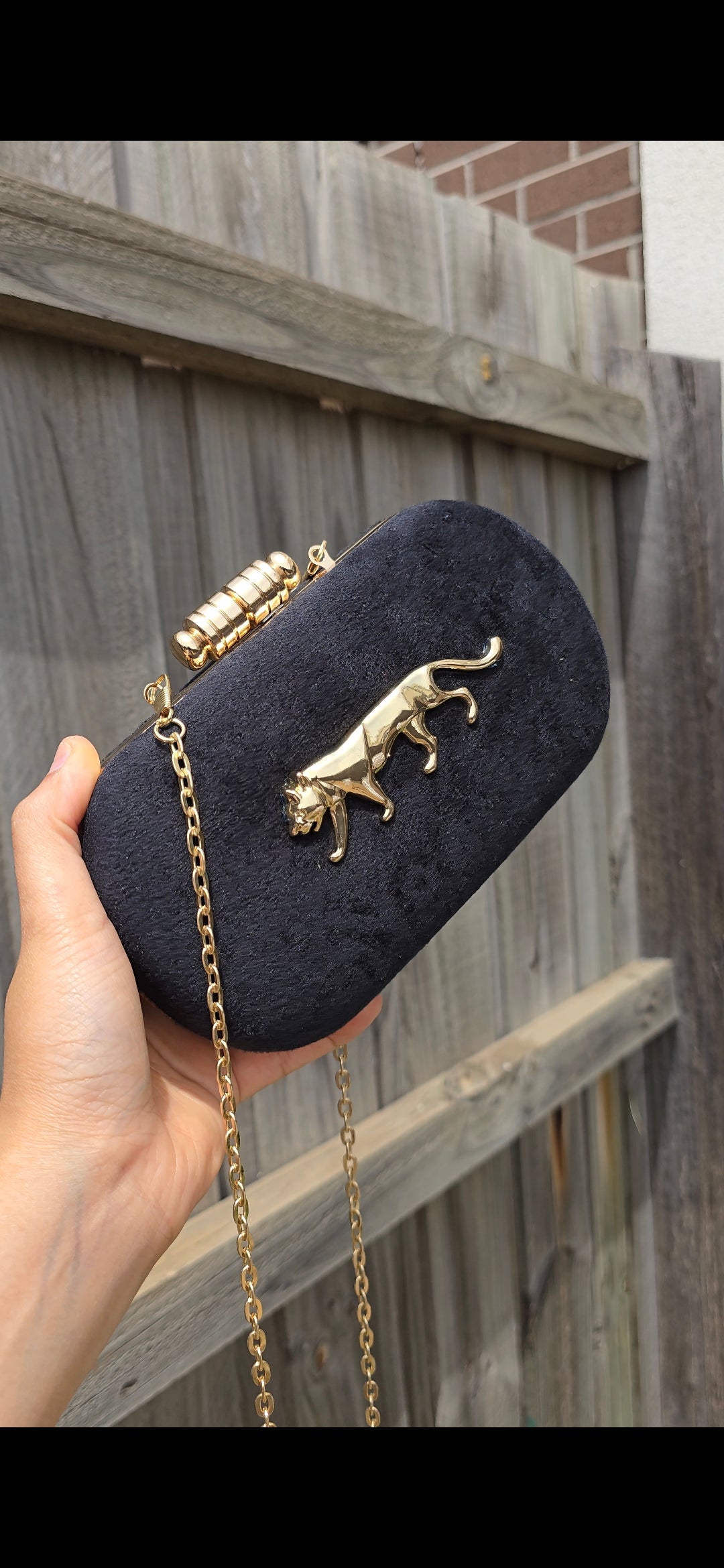 Sabya Clutch