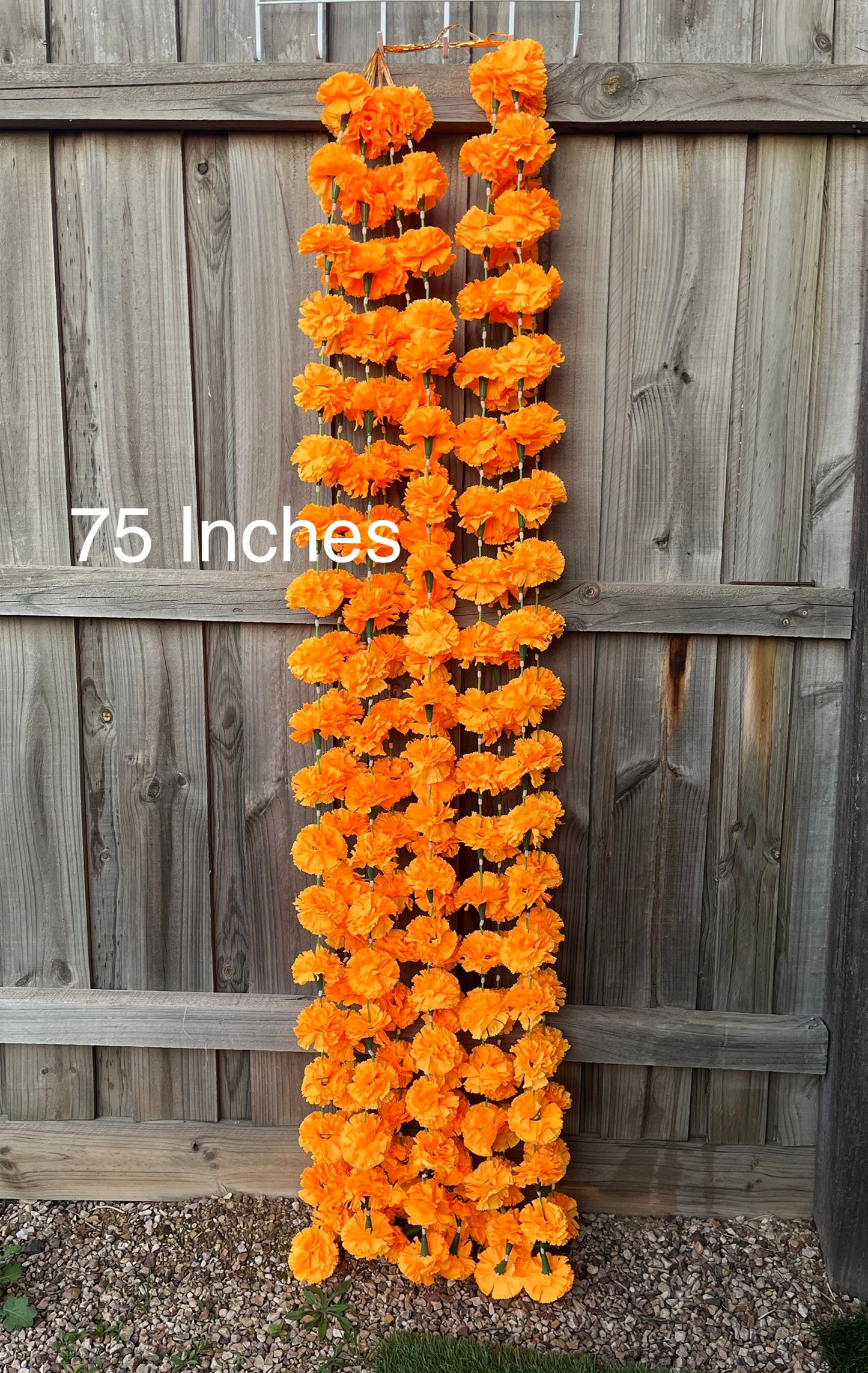 Marigold Hanging