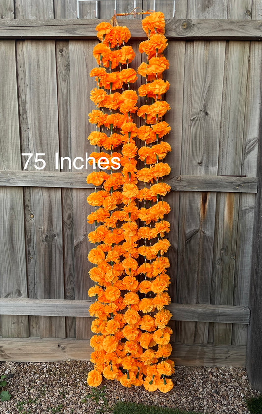Marigold Hanging