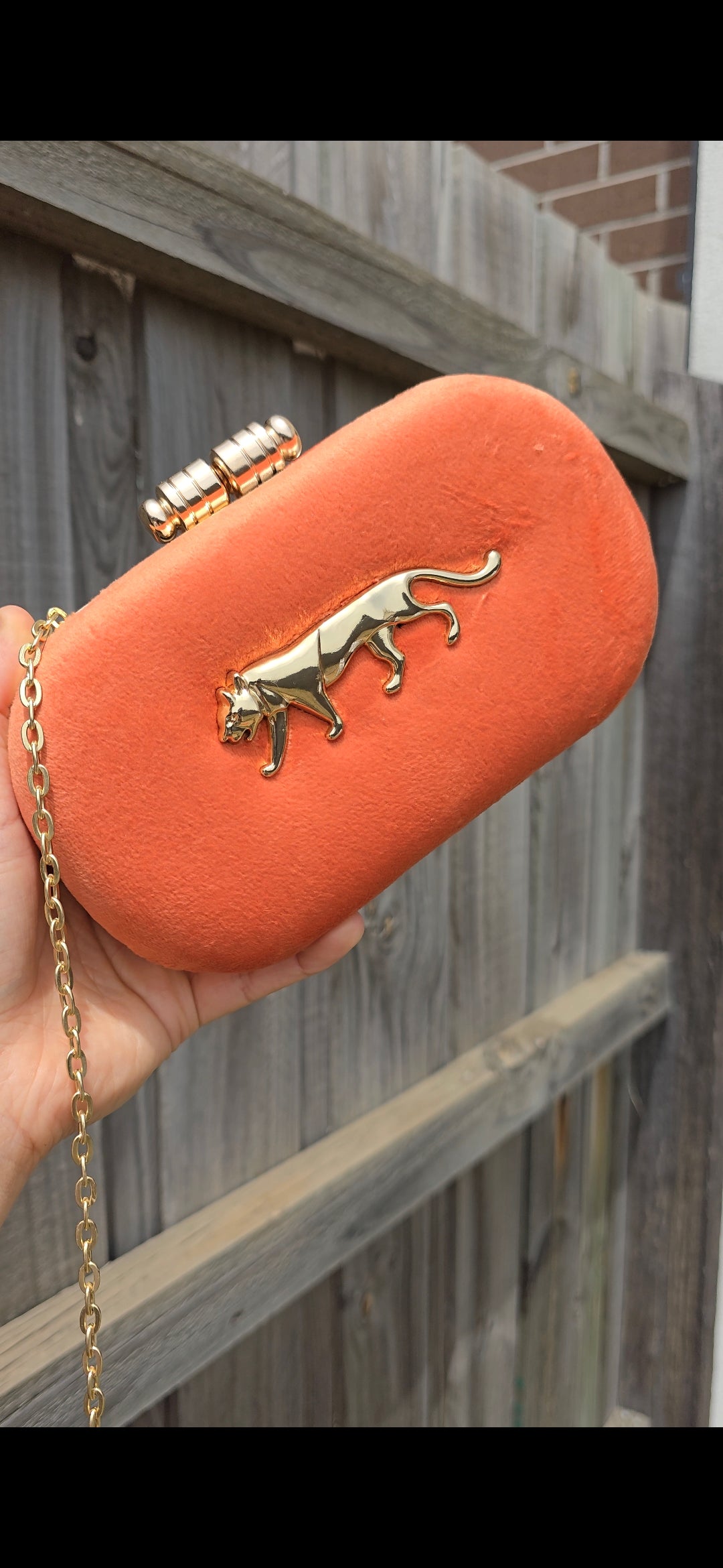 Sabya Clutch
