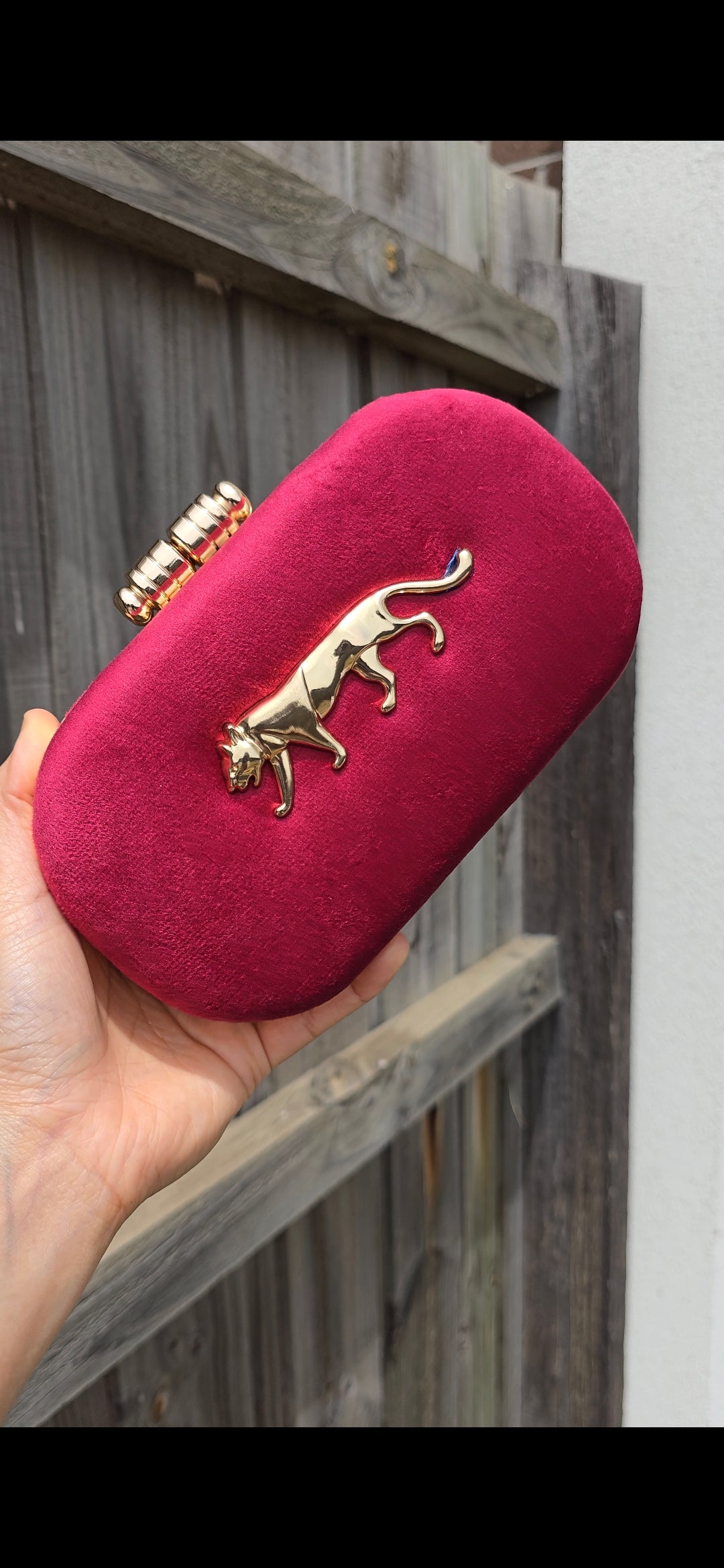 Sabya Clutch
