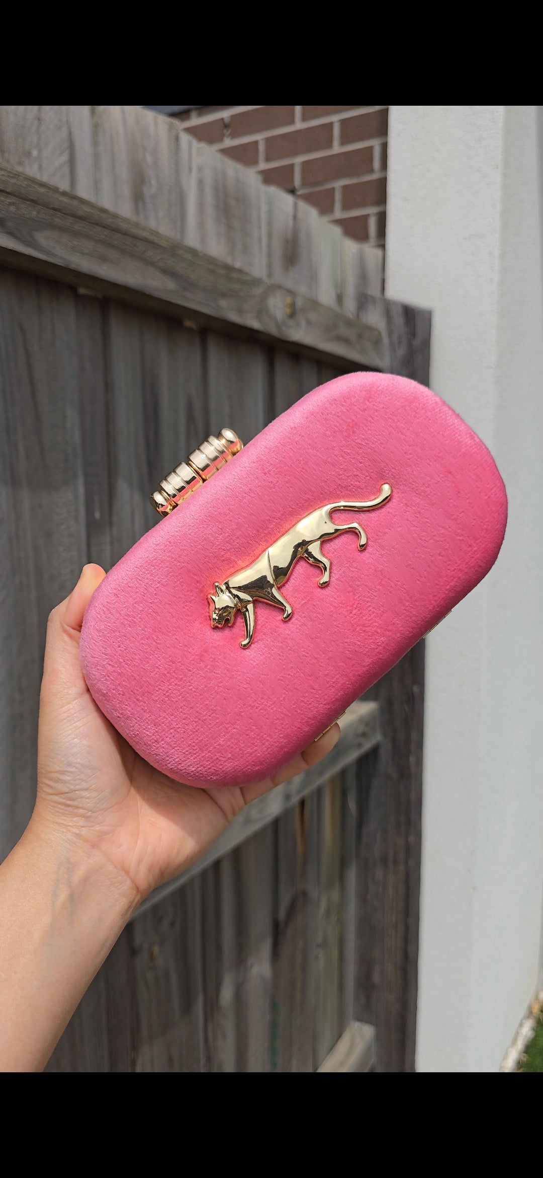 Sabya Clutch